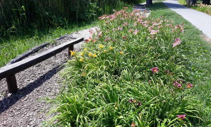 Csopak, Ifjúsági sétány - Fitneszpark és mezítlábas ösvény_2