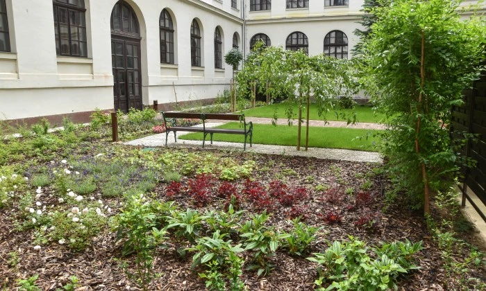 Veszprém, Megyeháza - Közösségi kert