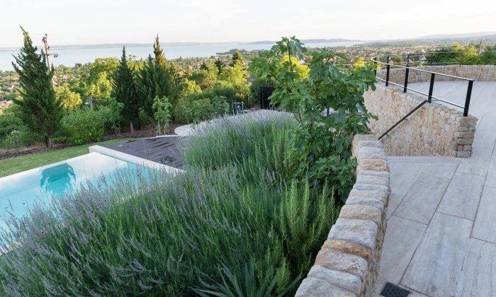 Mediterrán kert gyümölcsössel és óriás borókákkal