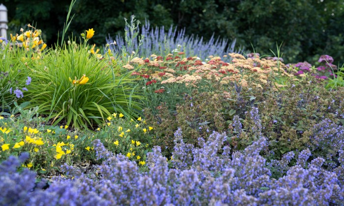 Balatoni panorámájú kert