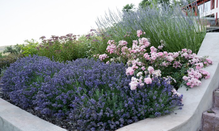 Balatoni panorámájú kert