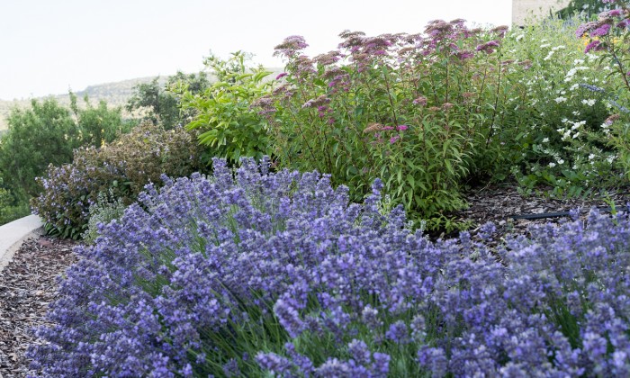 Balatoni panorámájú kert