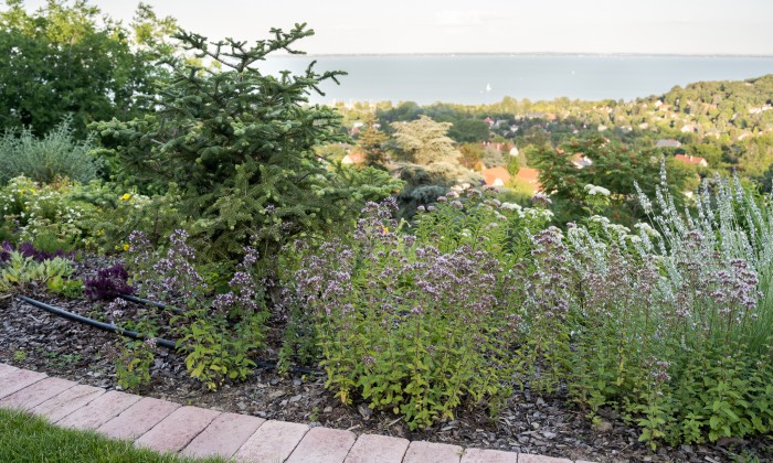 Balatoni panorámájú kert