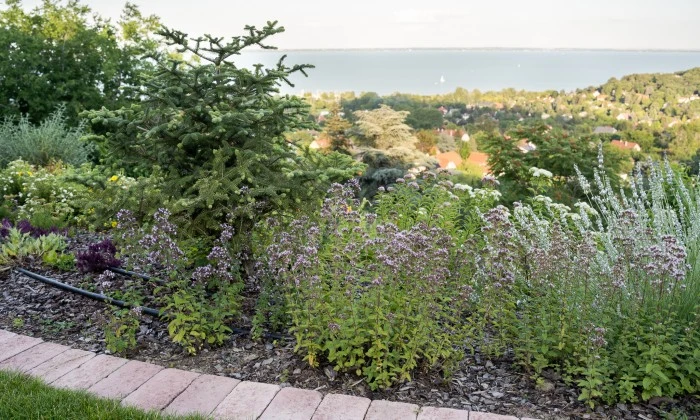 Balatoni panorámájú kert