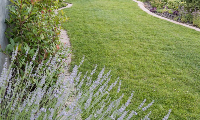 Balatoni panorámájú kert