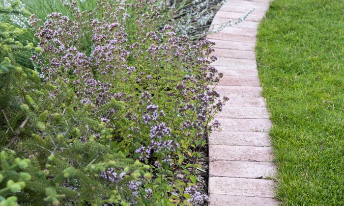 Balatoni panorámájú kert