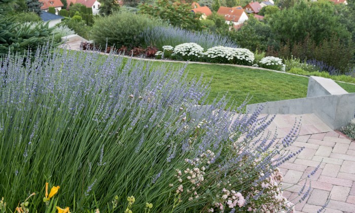 Balatoni panorámájú kert