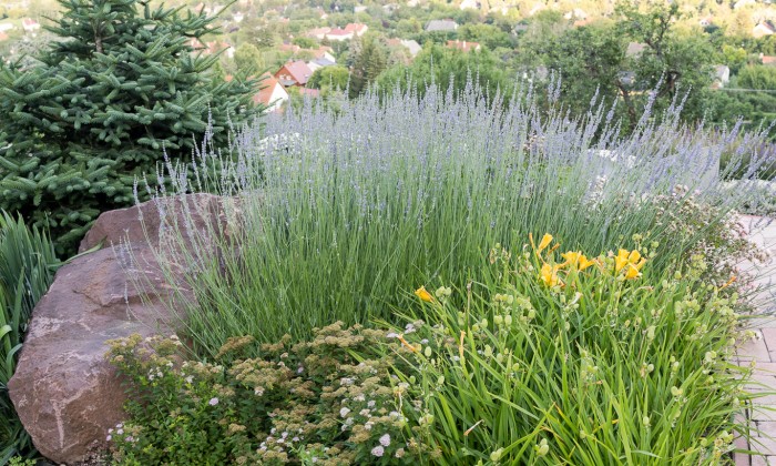 Balatoni panorámájú kert