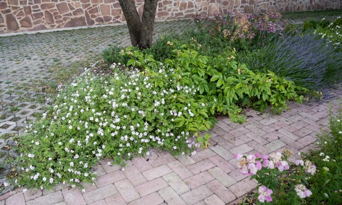 Balatoni panorámájú kert