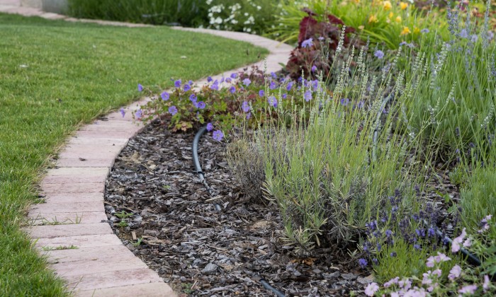 Balatoni panorámájú kert