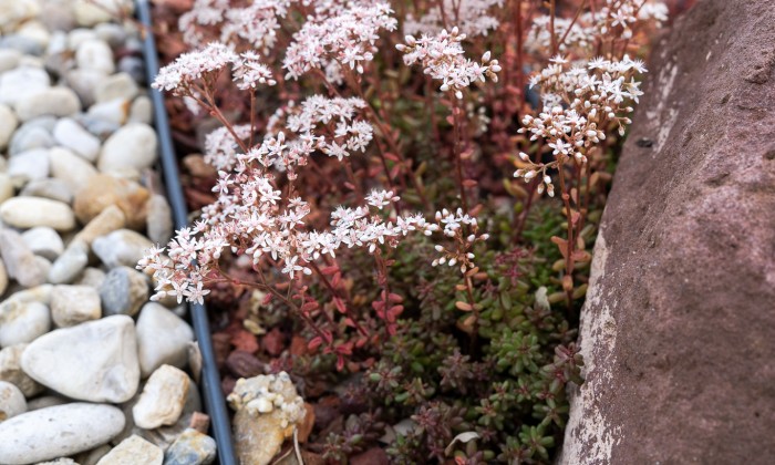 Veszprém- Zöld szemlélet