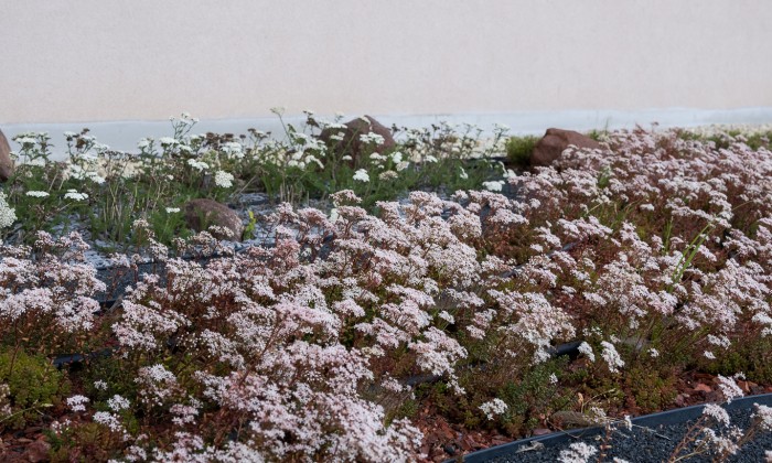 Veszprém- Zöld szemlélet