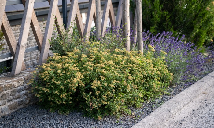 Sokfunkciós rézsű