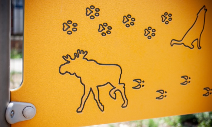 Buglo 4133 (Fotó: Mucsy Ágnes)