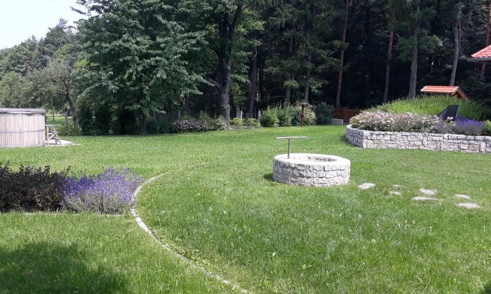 Erdei kert a Bakonyban_5