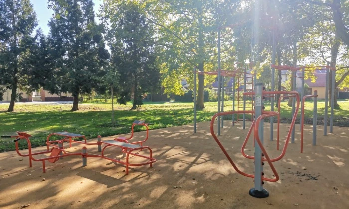 Sellye, Street workout