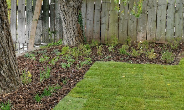 Csopak - Bővült, szépült a strand