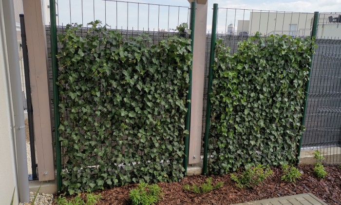 Sziklákkal határolt kert