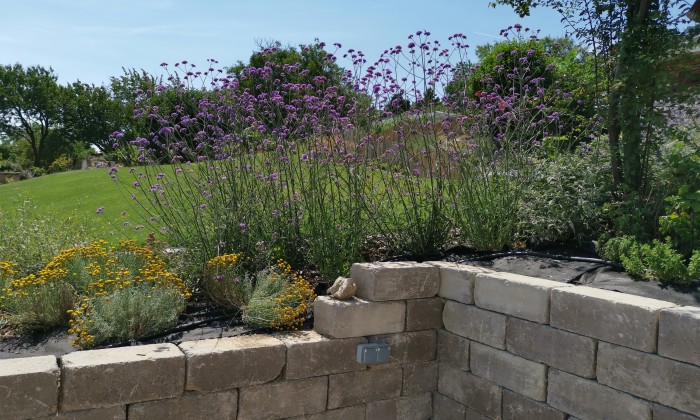 Alsóörs- újdonságok kertje