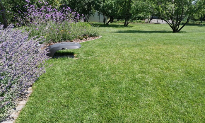 Alsóörs- újdonságok kertje