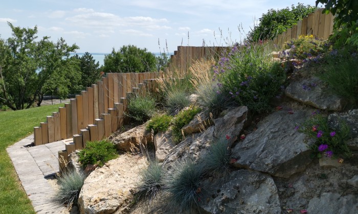 Alsóörs- újdonságok kertje