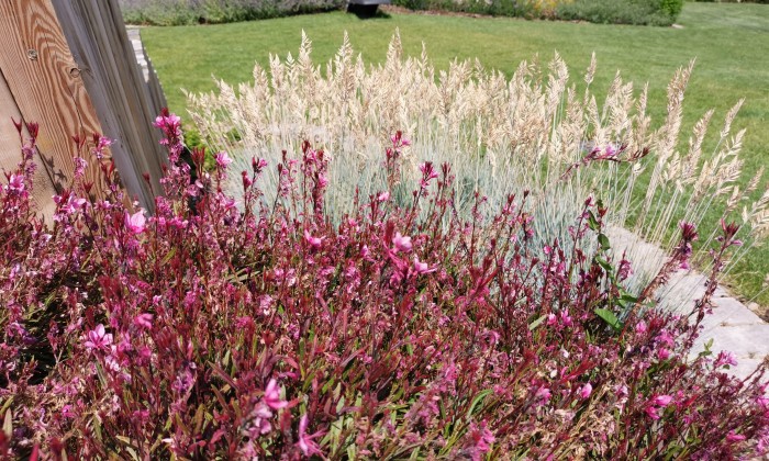 Alsóörs- újdonságok kertje