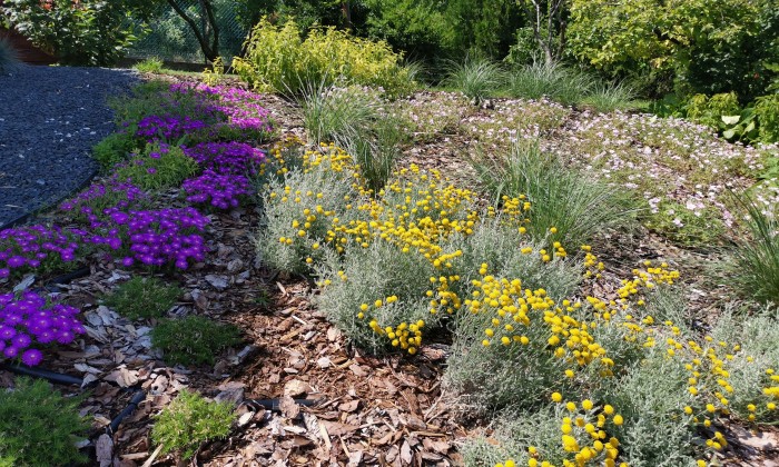 Alsóörs- újdonságok kertje