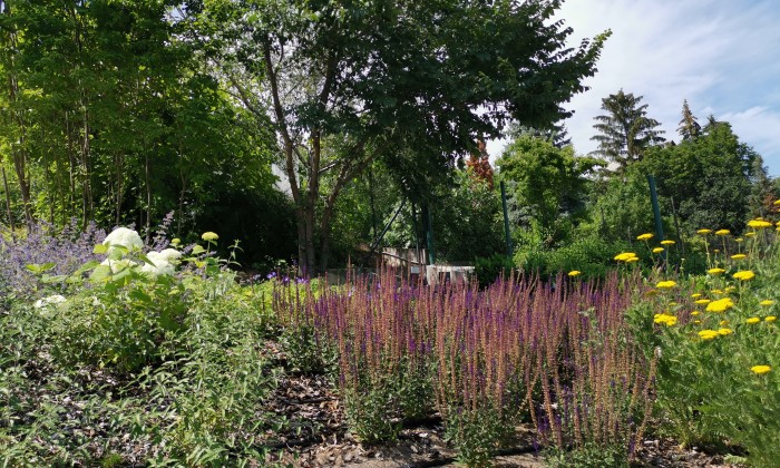 Alsóörs- újdonságok kertje