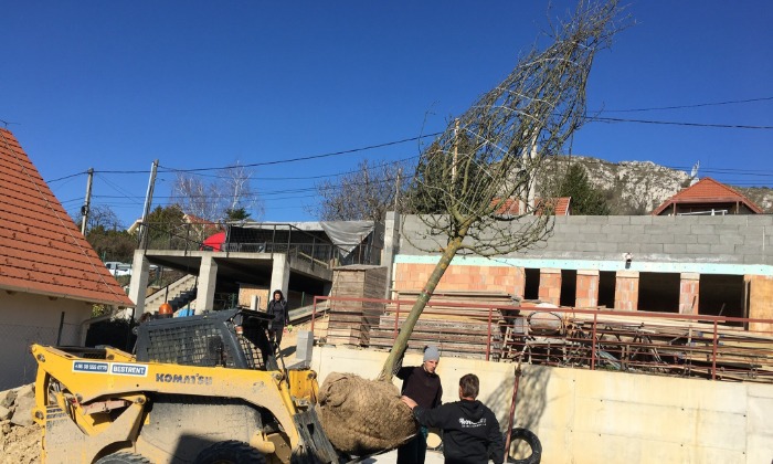 Budaörs - Lejtős, keskeny kert