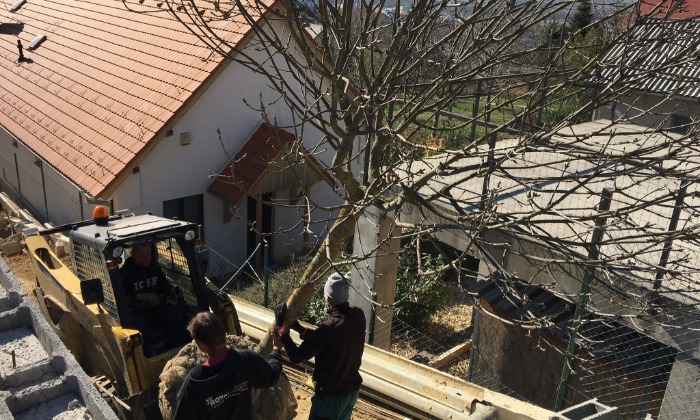 Budaörs - Lejtős, keskeny kert