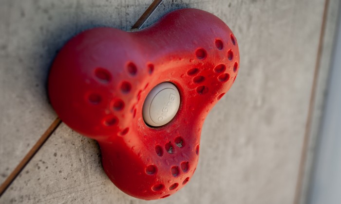 Buglo 1102 (Fotó: Mucsy Ágnes)