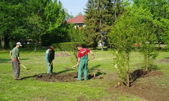 Balatonalmádi Öregpark - parkszépítés_10