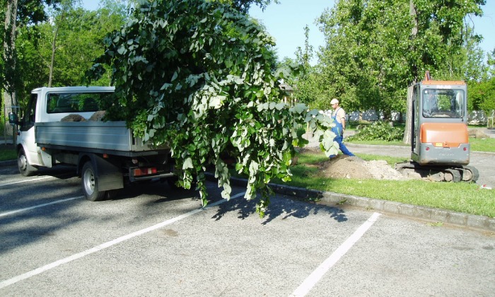 Balatonalmádi Öregpark - parkszépítés_12
