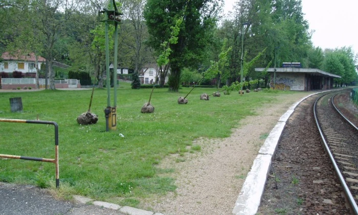 Balatonalmádi Öregpark - parkszépítés_7