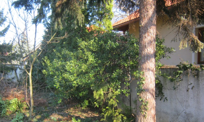 Veszprém - Árnyas kiskert_4