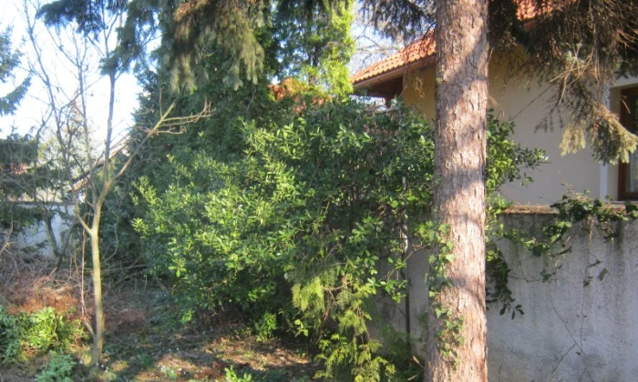 Veszprém - Árnyas kiskert_4