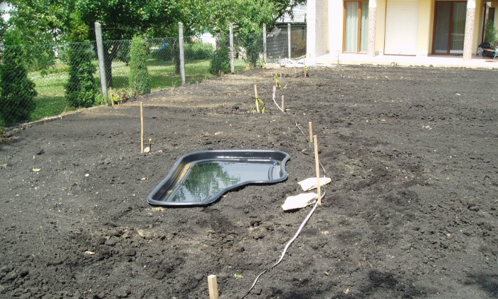 Veszprém - Hosszú kert színes növénysávokkal_10