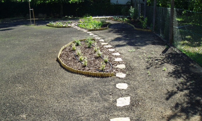 Veszprém - Hosszú kert színes növénysávokkal_10