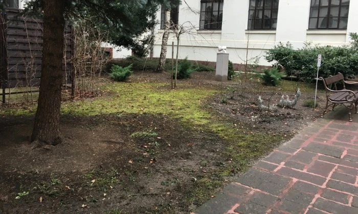 Veszprém, Megyeháza - Közösségi kert