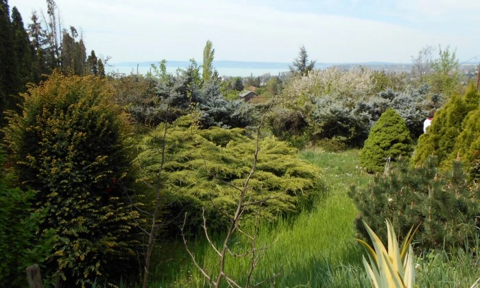 Balatonakarattya - Lejtős villakert_7