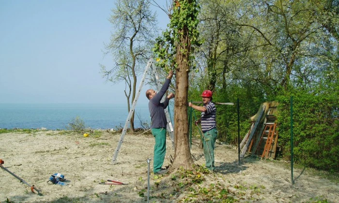 Balatonakarattya - Modern kert a Balaton partján_7