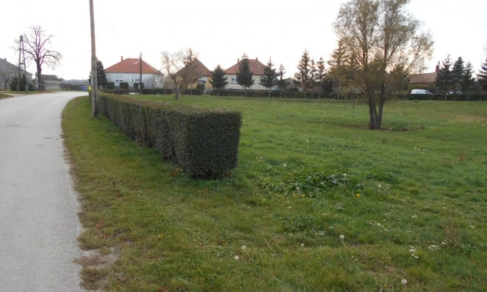 Balogunyom, Zrínyi utca - Családi pihenőpark tervezés_1