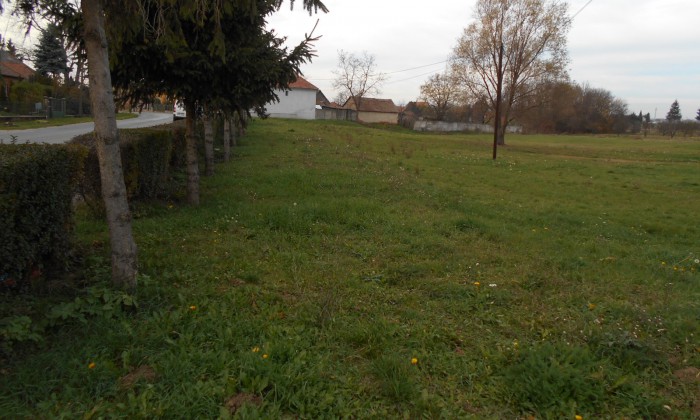 Balogunyom, Zrínyi utca - Családi pihenőpark tervezés_2