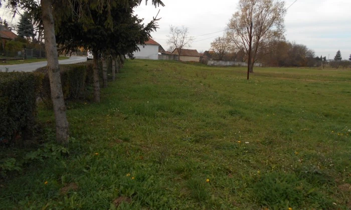 Balogunyom, Zrínyi utca - Családi pihenőpark tervezés_2