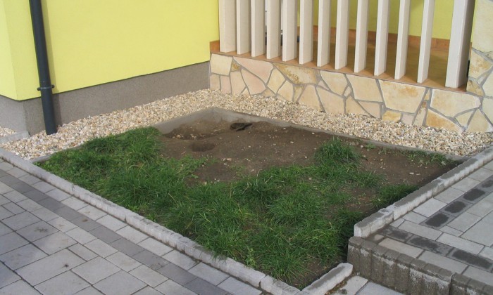 Ősi - Kis kert, virágzó növényágyásokkal tarkítva_0