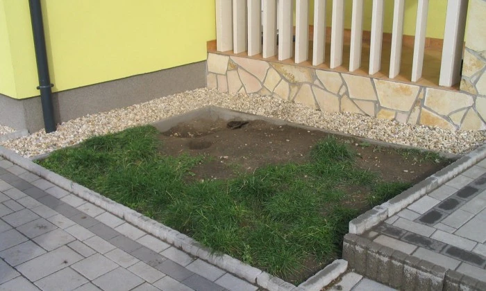 Ősi - Kis kert, virágzó növényágyásokkal tarkítva_0