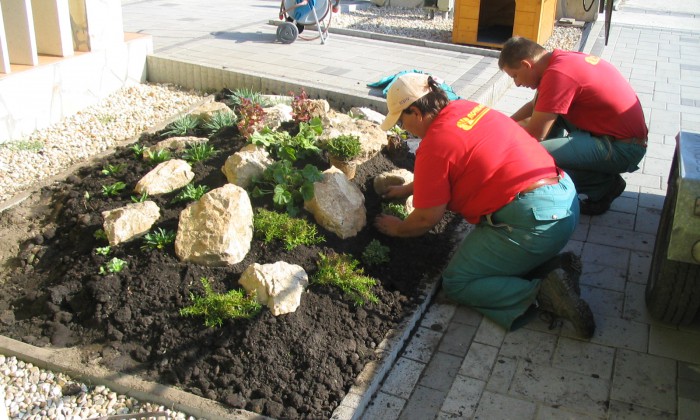 Ősi - Kis kert, virágzó növényágyásokkal tarkítva_8