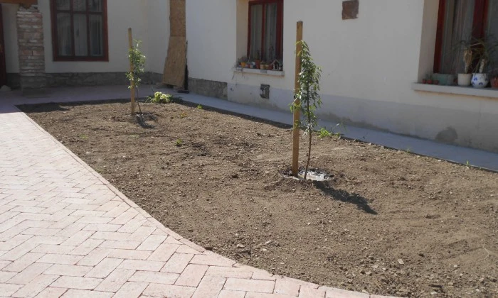 Szentkirályszabadja, református parókia - Csinos belső kert_6