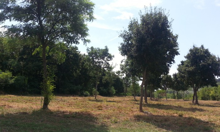 Tihany, Óvoda - Központban a gyerkek_1