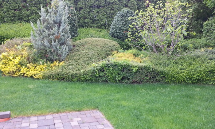 Tihany - Színesítés növényágyakkal_0